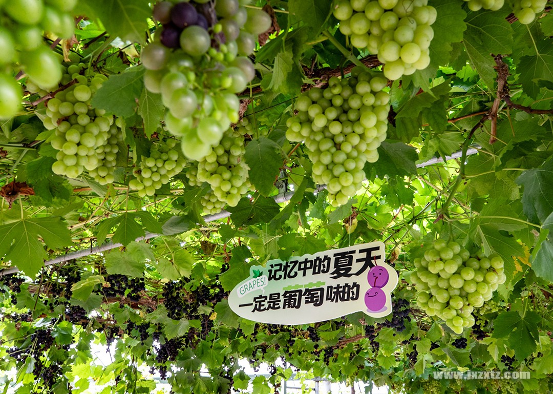 ǎζġ uۇz 13970920820 .jpg